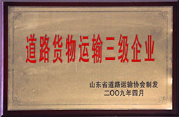2009年4月，天璇获道路货物运输三级企业